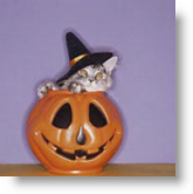 pumpkin-cat-1 pumpkin-cat-1